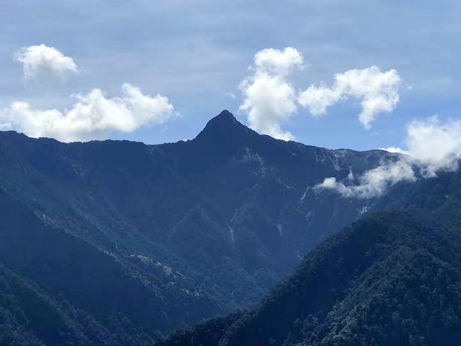 高山烏龍茶玉山產區